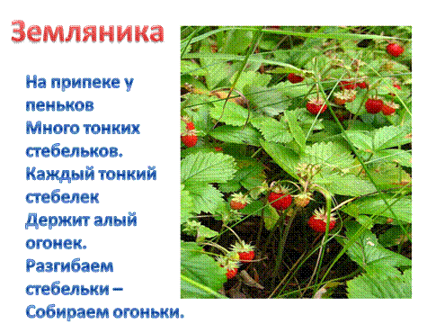 Стих о землянике Стих о землянике